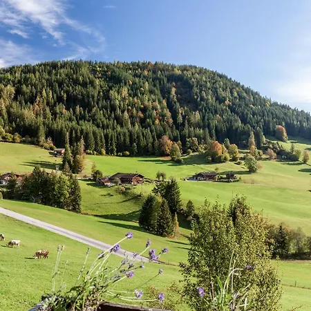 Zauberhütte Wildschönau Apartment *